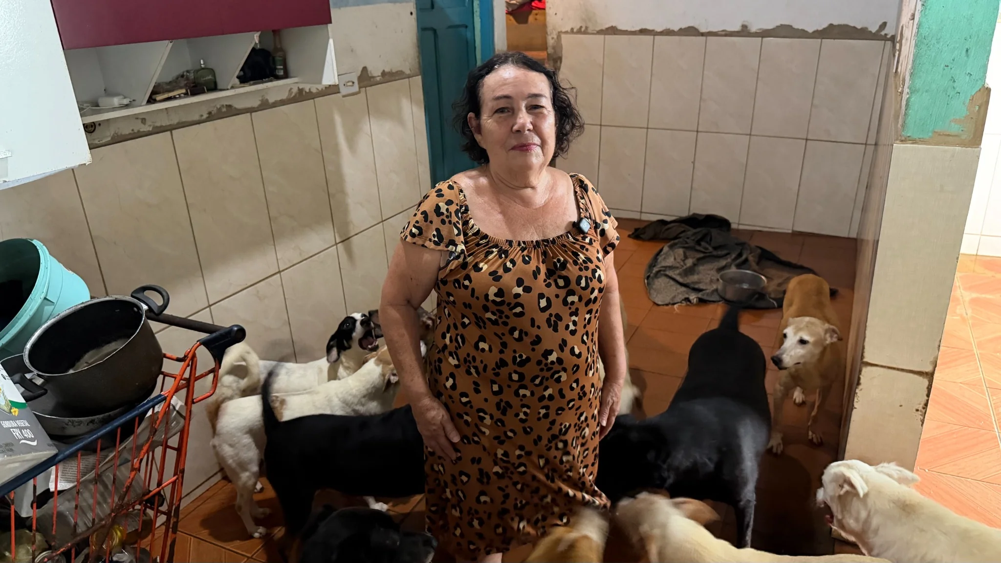 Cachorra abraçada pela voluntária